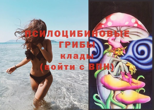экстази Анива