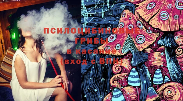 apvp Кинешма
