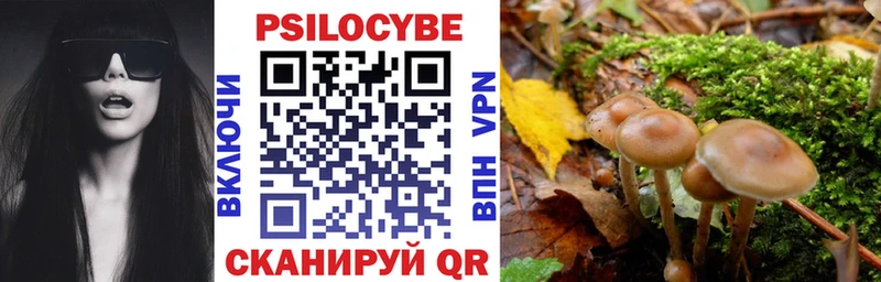 Галлюциногенные грибы MAGIC MUSHROOMS  продажа наркотиков  мега маркетплейс  Лосино-Петровский 